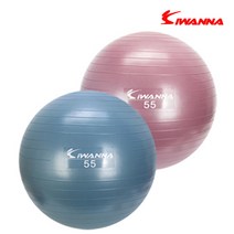 아이워너 안티버스트 짐볼55cm 스트레칭 필라테스기구, 더스티블루