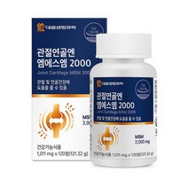 대웅생명과학 관절연골엔 엠에스엠 MSM2000 120정, MSM 2000 120정 3통 [6개월]