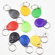 rfid복사기 rfid태그 100 개/몫 RFID 키 fobs 125KHz EM4305 T5577 근접 ABS 태그 읽기 및 쓰기 복사기 액세스 제어, 라이트 그린