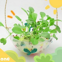세연상사 봄식물 봄햇살 듬뿍 새싹 키우기1 -5인 세트 새싹재배기