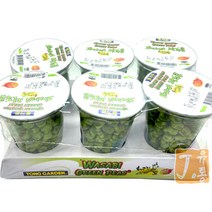 통가든 와사비 완두콩 90g x6개, 1개, 540g