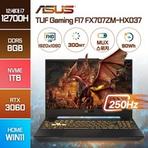 ASUS TUF Gaming F17 FX707ZM-HX037 최신 인텔 12세대 i7 RTX3060 17인치 고사양 고성능 배그 노트북, 메카 그레이, FX707ZM, 코어i7, 1TB, 8GB, WIN11 Home