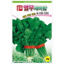 아시아종묘 새바람 열무씨 열무씨앗 종자 가을김장무 (20g)
