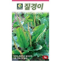 백하수오 100립 - 씨 씨앗 백하수오씨앗 백하수오씨 하수오 나물씨앗 민속채소 채소씨 채소씨앗, 29_다농_질경이(청)(5g)