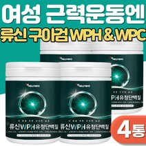 WPC단백질보충제 소화잘되는 WPC프로틴 완두단백 식물성 단백질 WPH 가수분해물 구아검 류신 BCAA 분말