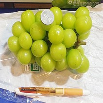 경북 고당도 프리미엄 샤인머스켓 1.5kg 2kg (2수 3수 4수), 샤인머스캣(특품)3~5수(4kg)