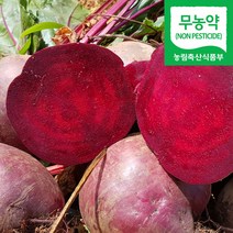 해남 햇 무농약 비트 레드비트 알비트, 1박스, 2kg (약 8~12개 내외)