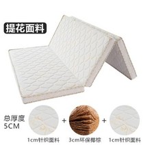 천연 코이어 매트리스 코코넛 팜 매트리스 패드 단단한 코이어 팜 접이식 매트리스 어린이 매트리스 100 천연 코이어 매트리스, 80X200cm+Thickness 8cm+F
