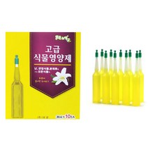 대용량 식물 영양제 화초 난 관엽식물 나무 소나무 수경재배 100개입