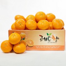 (롯데백화점)(넉넉) 제주 레드향 2.5KG 중과(09과-12과) 귤/감귤보다 레드향