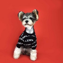 소다팡팡 강아지옷 발렌 스웨터 고양이옷, 강아지옷_블랙