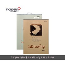 모던갤러리 전문가용 5절 스케치북 180g/5권 묶음, 12매