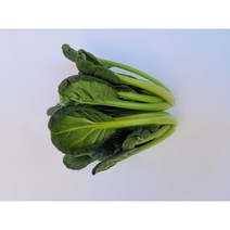 [특급] 비타민 500g 1kg, 비타민500g, 1개
