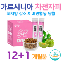 하루 2스틱 가르시니아 캄보지아 추출물 HCA 차전자피 식이섬유 체지방 감소 도움 홈쇼핑 프리미엄 영양제 성분 가격 효능 비교 60대 부모님 다이어트 배변활동 원활 도움, 12+1 달치, 6000mg x 60포 (하루2포)