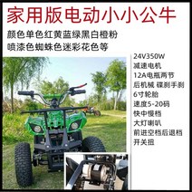 사발이 오토바이 제설ATV 홍천원모터스 리어카 오프로드, 24V12A 그린