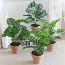 보타닉 식물화분 조화 (4type) 산소 산당화 납골당꽃 납골당꾸미기, C