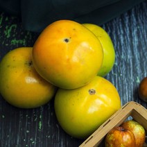 디애니몰 창원 태추 단감 2kg ~ 5kg 창원단감 배단감 대추단감 태추감 배감 생감 햇단감 햇감 선물용과일, 못난이, 2kg 8-11과 중과
