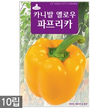 할라피뇨 30립 - 고추씨앗 씨앗 씨 고추씨 멕시코고추 매운고추씨, 05_청농_옐로우파프리카(20립)