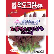 경신종묘 로얄적오크린상추 1500립 파종용 상추 씨앗