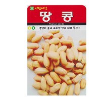SN월드 씨앗 열매채소 과일채소 모음, 땅콩