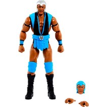 Mattel WWE 빅 E 엘리트 컬렉션 액션 피규어 디럭스 관절 및 실물 같은 디테일 상징적인 액세서리 포함 15.2cm(6인치), Farooq Asad