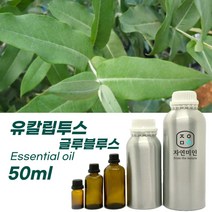 100% PURE 천연 허브 효능 효과 아로마 원액 에센셜 오일 -50ml 모음, 유칼립투스-글루블루스50ml