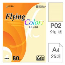 플라잉 칼라 P02 연미색 A4 80g 복사 용지 25 매입 10 개 색상지 [유진집] #981EA, 유진집 쿠팡 본상품선택
