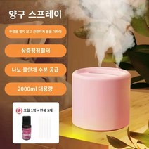 가습기 홈 침실 아로마 테라피 더블 스프레이 2 리터 대용량 음소거 usb 소형 데스크탑 휴대용 물 기숙사 창조적 인 수화 공기 청정기 임산부 아기 침대 옆 에어컨 룸, 16. 벚꽃 가루 2리터 더블 스프레이   면봉 5개