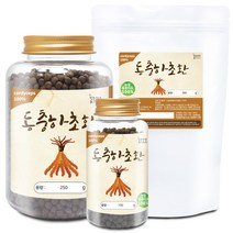 100% 동충하초환(국산) 모음 건강환 분말 가루, 100 동충하초환[국산] 300g