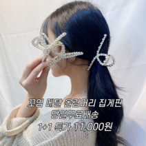 대전언니 1+1 메탈집게핀 꼬임집게핀 반묶음집게핀 헤어집게핀