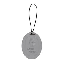 센트포레스트 퍼퓸 고체형 방향제 차량 옷장 실내 거실 화장실 사무실 책상 침실 천연아로마향 방향제(그레이)