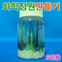 나sks1_향앤미과학 화학 정원 만들기 6인용 삼투압현상관찰 실험♥ilpyeon, ♥mindlle