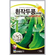 흰작두콩 10립 씨앗 세계, 1개