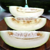 파파야 메론 5kg 2kg 3kg 멜론 고령파파야메론, 1개
