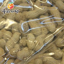 브랜드없음 [우리가락]피땅콩 1kg, 단품없음