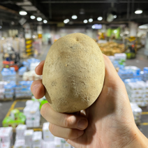 경매직송 감자 식자재용 대용량 20kg, S급, 120-180g(특)