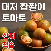 부산 초록농장 대저토마토 대저 짭짤이 토마토 짭짜리토마토 짭짤이 2.5kg, 대저토마토 소 (로얄사이즈추천), 1개