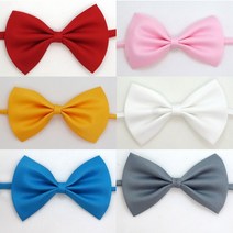 소형견 중형견 리본 보타이 인싸 반려동물 나비넥타이, 화이트, 상세 참조