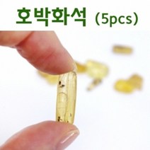 호박화석(5개) KTS