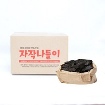 SOK824071숯효능1.8kg 캠핑바베큐 자작나무숯