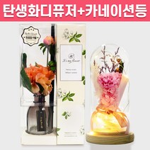 탄생화 디퓨저 선물 세트 9월 탄생화 다알리아 피치 + 카네이션 무드등 부모님 선생님 스승의날 엄마 장모님 생신 생일 집들이 선물 실내 디퓨저 실내 방향제 디퓨져, 라벤더, 핑크, 120ML
