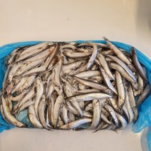 노르웨이산 냉동 열빙어 시사모 구이 7KG 자연산 벌크 박스 업소용 고양이 강아지 열빙어, 1개