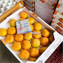 청도 반시 씨없는감 5kg L 26-30과 내외 청도반시 청도홍시, 단품