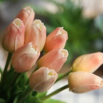 똑소녀 인테리어 조화 미니 튤립 실크플라워, 그라데이션 핑크