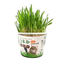힐링타임 그루루 재배세트 캣그라스 보리 귀리 캣닢 고양이 헤어볼 캣닢 화분 키우기, 캣닢 3개
