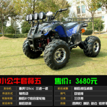 ATV 125cc-250cc 쿼드 바이크 산악 자전거 오프로드 ATV, 단일사이즈, 암소 정식 5 개
