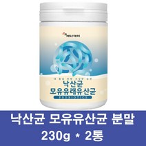 낙산균 유산균 분말 낙산유산균 발아 아포 미야이리 모유 생유산균 포스트 프로바이오틱스 장건강 락토바실러스가세리 19종 장내유익균 먹이 쾌변, 2통, 230g