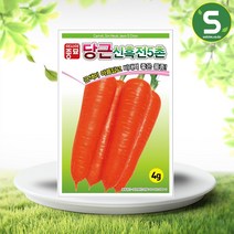 솔림텃밭몰 당근씨앗 4g 신흑전5촌 당근종자 5촌당근 다수확품종