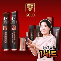 나눔홈쇼핑 정은숙 뿅뿅붓 1분 새치커버브러쉬 새치붓, 흑갈색1세트- 본품2+리필2+마스카라1+리무버1