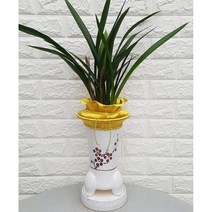 동양란 산천보세48 - 승진 취임 개업 선물